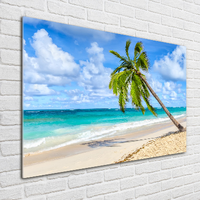 Quadro vetro Spiaggia tropicale