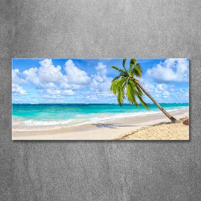 Quadro vetro Spiaggia tropicale