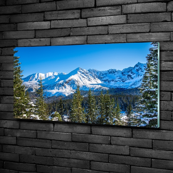 Quadro su vetro Panorama dei Monti Tatra