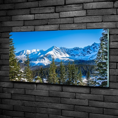 Quadro su vetro Panorama dei Monti Tatra