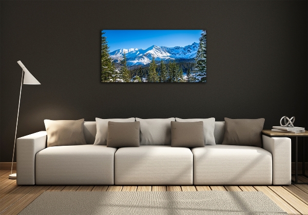 Quadro su vetro Panorama dei Monti Tatra