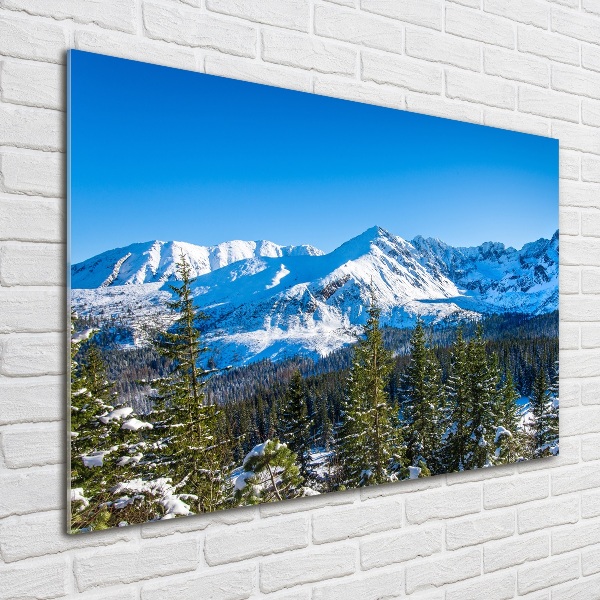 Quadro su vetro Panorama dei Monti Tatra