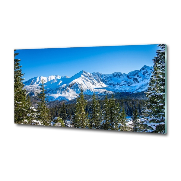 Quadro su vetro Panorama dei Monti Tatra
