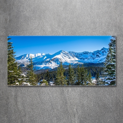 Quadro su vetro Panorama dei Monti Tatra