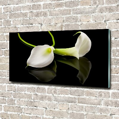 Quadro su vetro Calla
