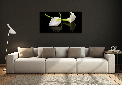 Quadro su vetro Calla