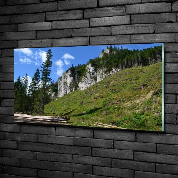 Quadro in verde Cime rocciose