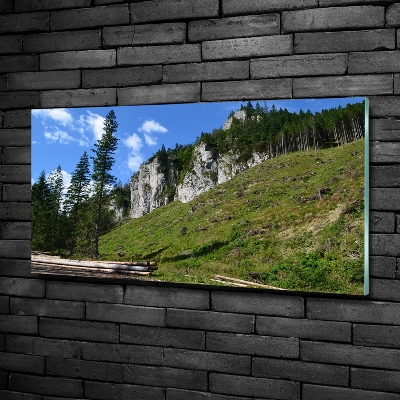 Quadro in verde Cime rocciose