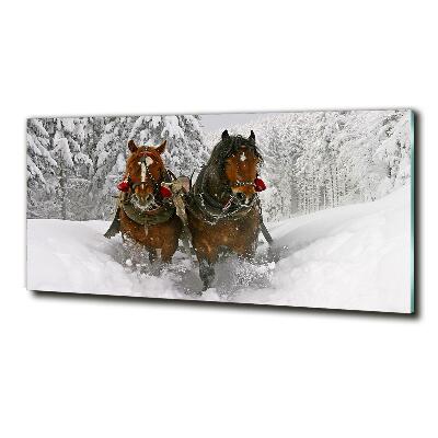 Quadro su vetro Giro in slitta