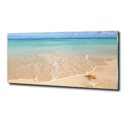 Quadro su vetro Stelle marine sulla spiaggia