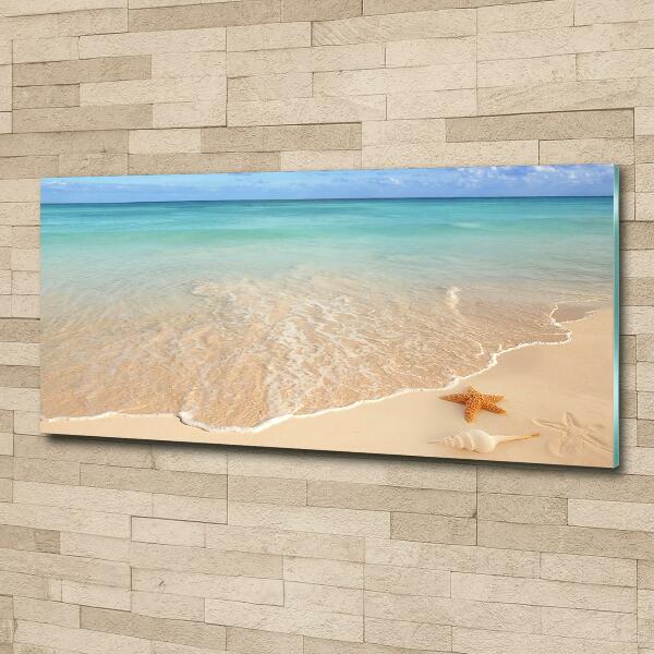 Quadro su vetro Stelle marine sulla spiaggia