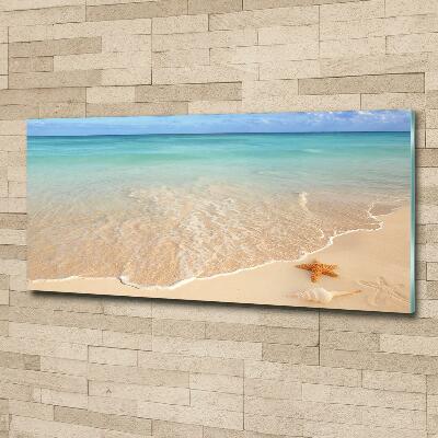 Quadro su vetro Stelle marine sulla spiaggia