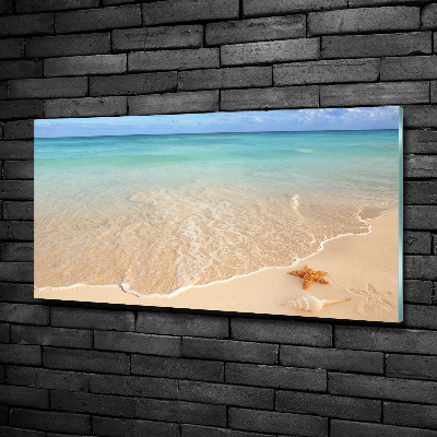 Quadro su vetro Stelle marine sulla spiaggia