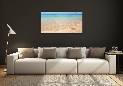 Quadro su vetro Stelle marine sulla spiaggia
