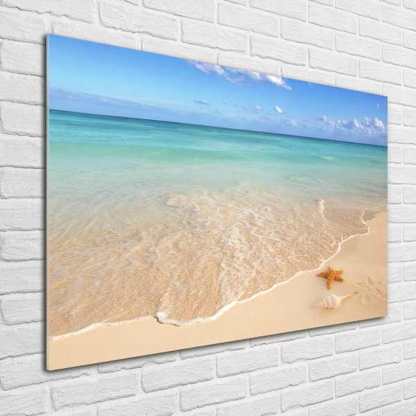 Quadro su vetro Stelle marine sulla spiaggia