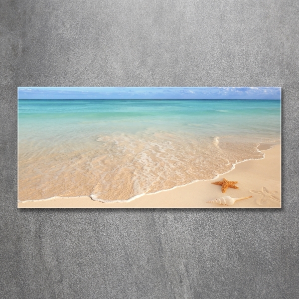 Quadro su vetro Stelle marine sulla spiaggia