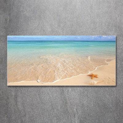 Quadro su vetro Stelle marine sulla spiaggia