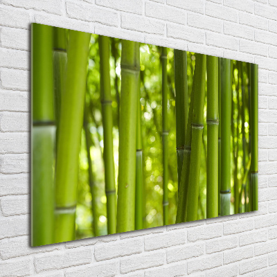 Quadro su vetro Bambù