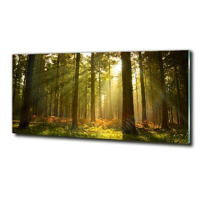 Quadro in verde Foresta al sole