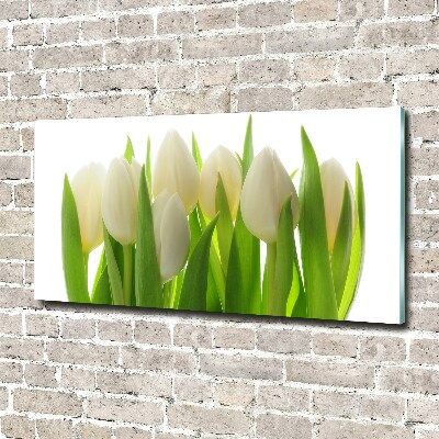 Quadro su vetro Tulipani