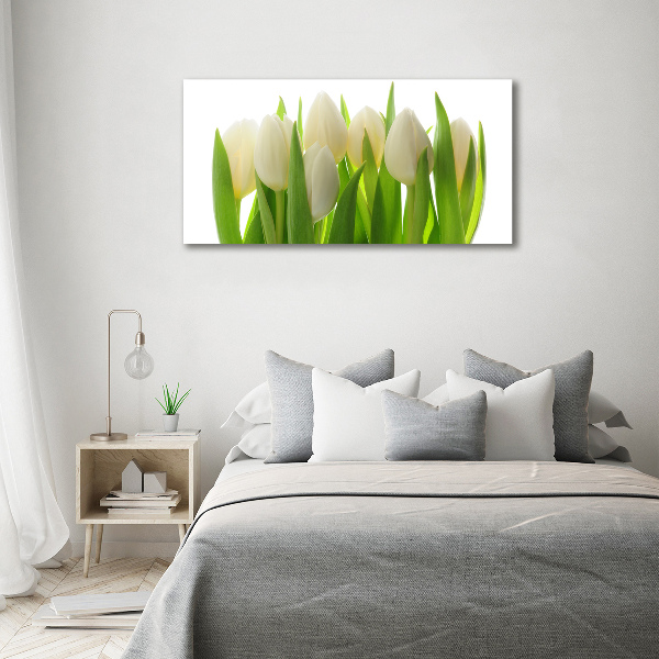 Quadro su vetro Tulipani