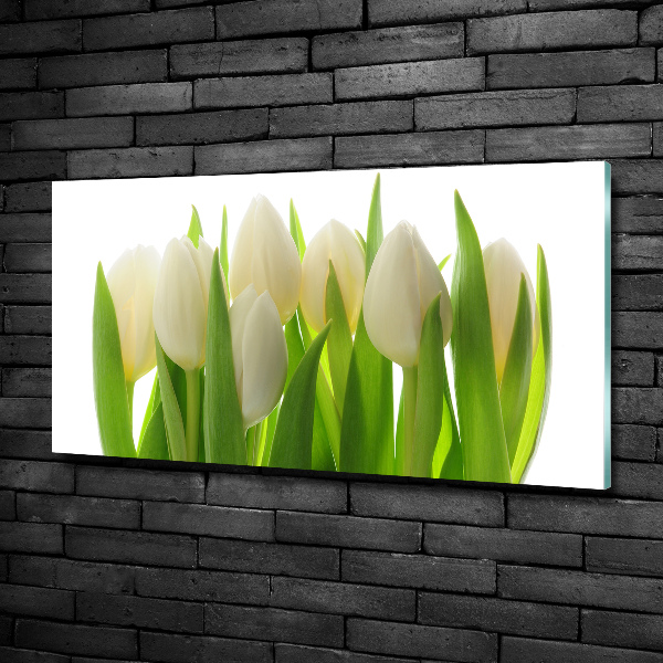 Quadro su vetro Tulipani