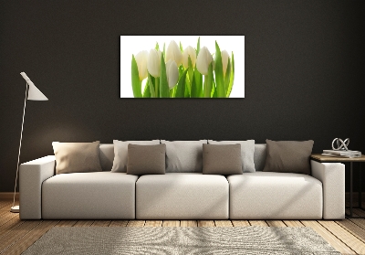 Quadro su vetro Tulipani