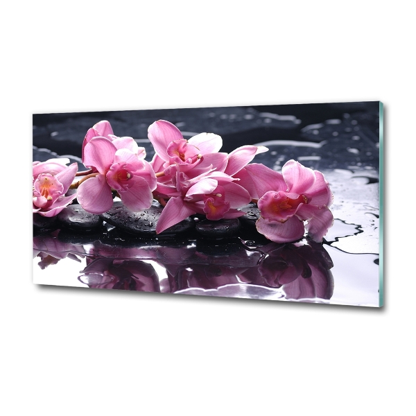 Quadro su vetro Orchidea rosa