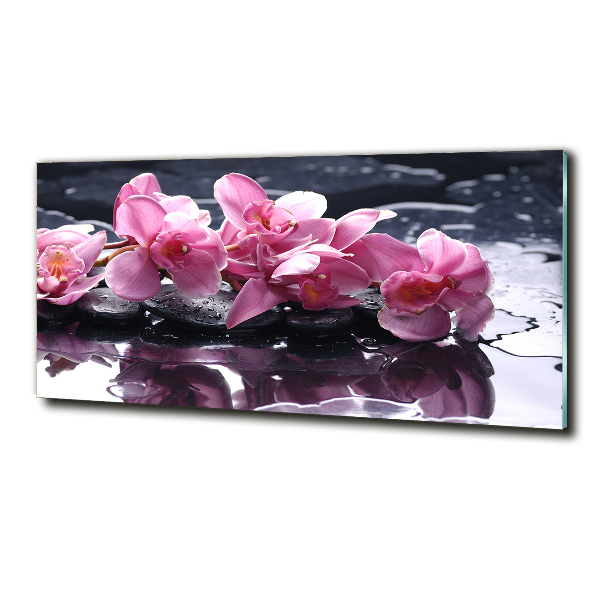 Quadro su vetro Orchidea rosa