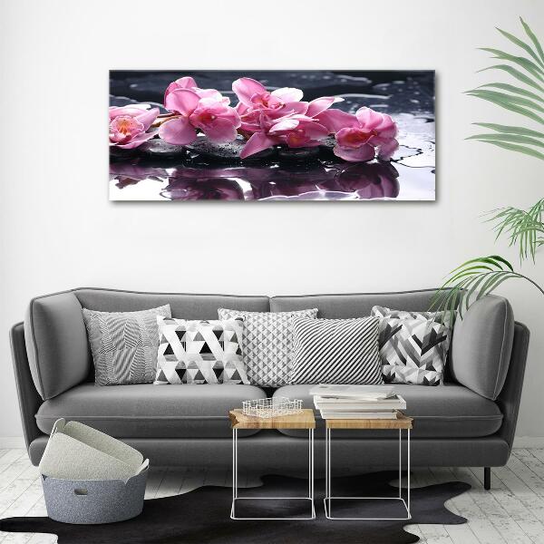 Quadro su vetro Orchidea rosa