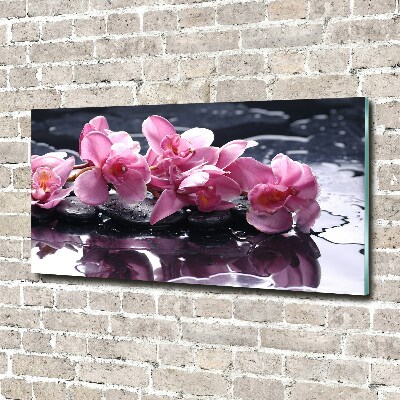 Quadro su vetro Orchidea rosa