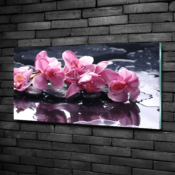 Quadro su vetro Orchidea rosa