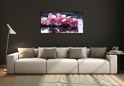 Quadro su vetro Orchidea rosa