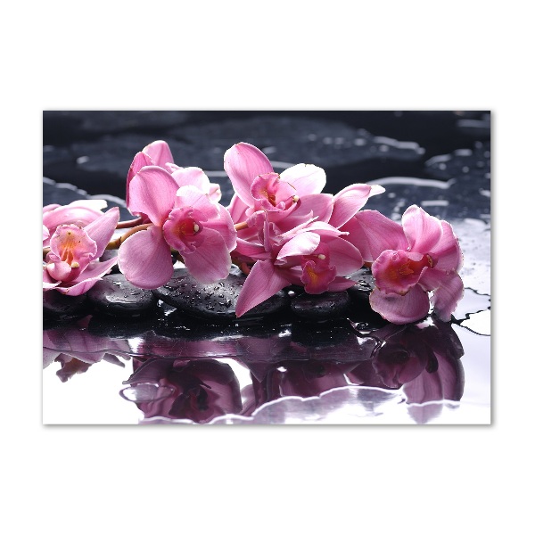 Quadro su vetro Orchidea rosa