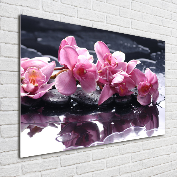 Quadro su vetro Orchidea rosa