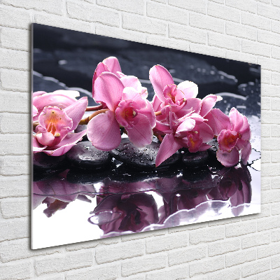 Quadro su vetro Orchidea rosa