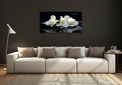 Quadro vetro Orchidea