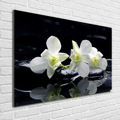 Quadro vetro Orchidea