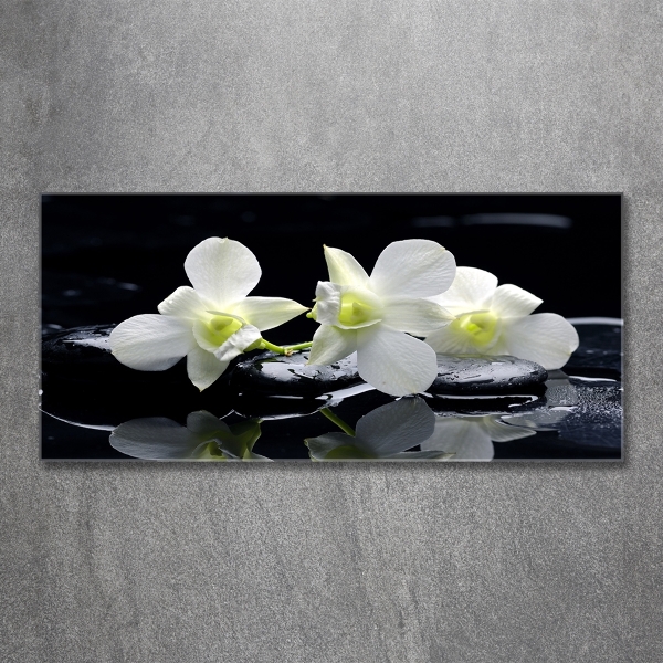 Quadro vetro Orchidea