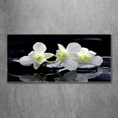 Quadro vetro Orchidea