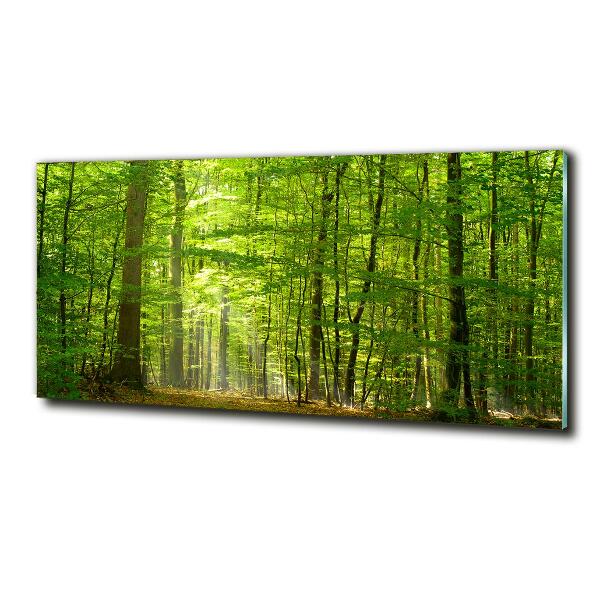 Quadro su vetro Foresta di latifoglie