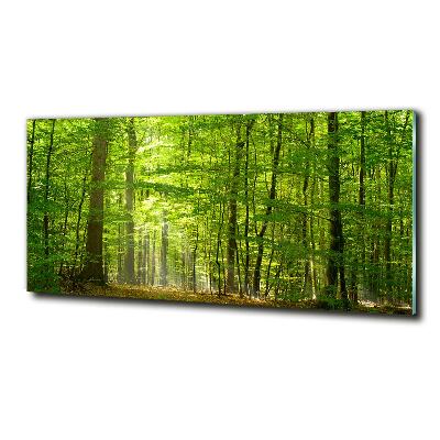 Quadro su vetro Foresta di latifoglie