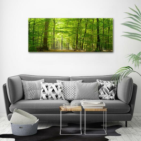 Quadro su vetro Foresta di latifoglie