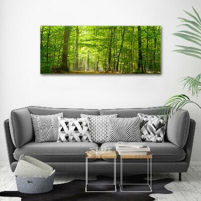 Quadro su vetro Foresta di latifoglie