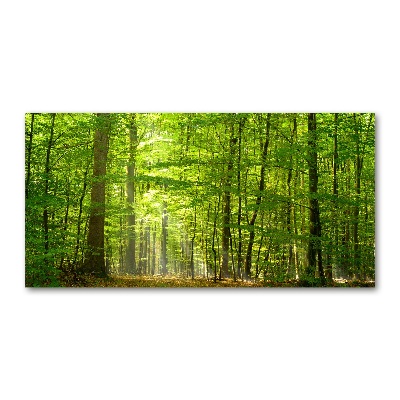 Quadro su vetro Foresta di latifoglie