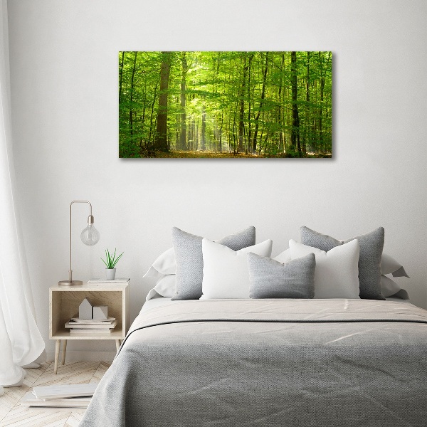 Quadro su vetro Foresta di latifoglie