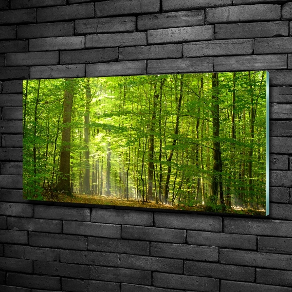 Quadro su vetro Foresta di latifoglie