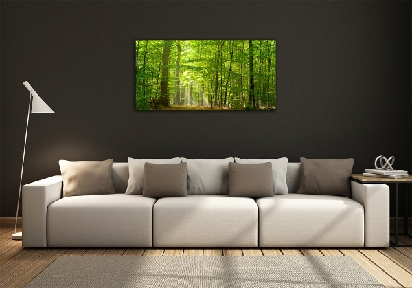 Quadro su vetro Foresta di latifoglie