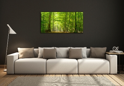 Quadro su vetro Foresta di latifoglie