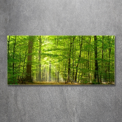 Quadro su vetro Foresta di latifoglie